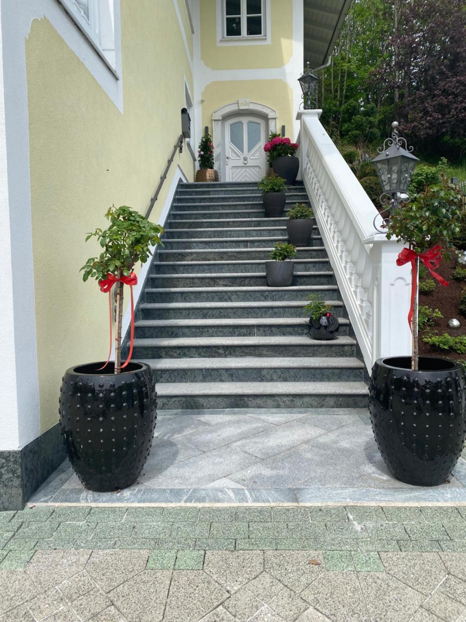 Appartement Bergblick I Faistenau Εξωτερικό φωτογραφία