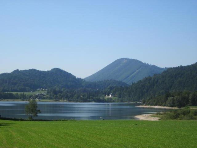 Appartement Bergblick I Faistenau Δωμάτιο φωτογραφία